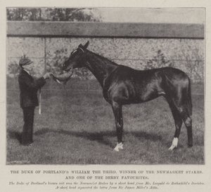 De hertog van Portlands William de Derde, winnaar van de Newmarket Stakes, en een van de Derby favorieten door English Photographer
