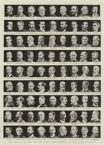 De Home Rule Bill in de Lords, Enkele Leden van het Hogerhuis, II