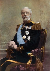 De koning van Zweden