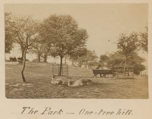 Het Park - One Tree Hill, Greenwich