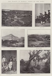 De pest in Bombay, uitzichten van de stad