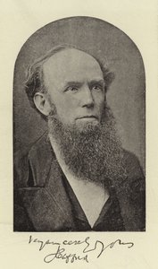 De Eerwaarde J Clifford, DD door English Photographer