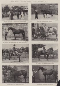 De Koninklijke Dublin Paardenshow, 26-29 augustus