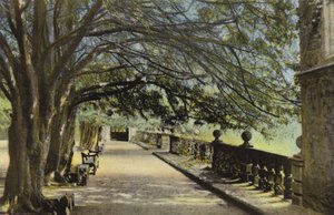 Het Terras, Haddon Hall door English Photographer