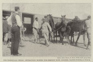 De Transvaal-crisis, het uitladen van paarden voor dienst bij de troepen van kolonel Baden-Powell