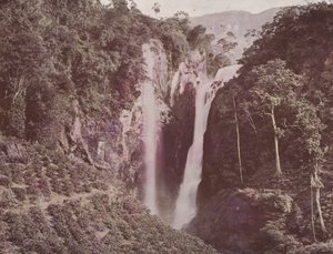 De Tweelingwatervallen (Koffie groeit op de voorgrond), Ceylon door English Photographer