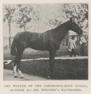De Winnaar van de Cambridgeshire Stakes, 30 oktober, Mr Whitneys Watershed