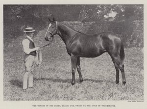 De Winnaar van de Derby, Flying Fox, eigendom van de Hertog van Westminster door English Photographer