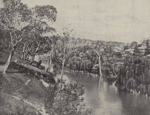 De Yarra bij Studley Park