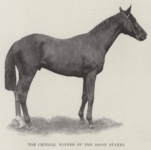 Tom Cringle, winnaar van de Ascot Stakes door English Photographer