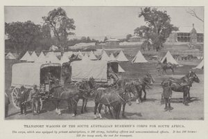 Transportwagens van het Zuid-Australische Bushmens Corps voor Zuid-Afrika door English Photographer