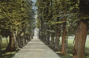 Trinity College, de Laan door English Photographer