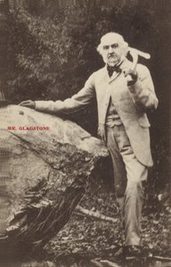 William Ewart Gladstone door English Photographer