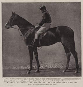 Winkfields Pride, de winnaar van de Cambridgeshire Stakes door English Photographer