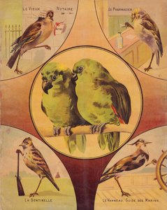 4e omslag: paar vogels en andere vogels, Engels