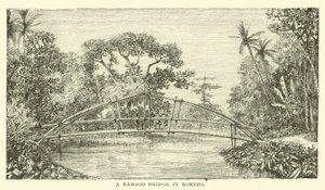 Een Bamboebrug in Borneo door English School