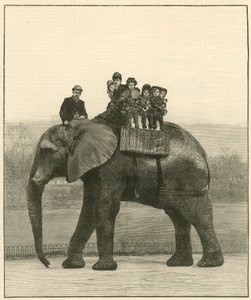 Een afscheidsrit op Jumbo