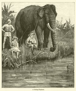Een Vissende Olifant
