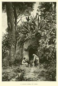 Een tuinspring in Capri door English School