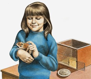 Een meisje en haar hamster