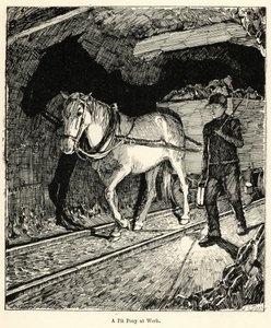Een mijnpony aan het werk (gravure) door English School