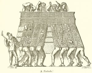 Een Testudo