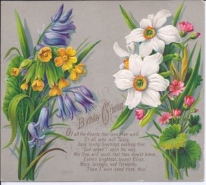 Een Victoriaanse Verjaardagskaart met boeketten van narcissen en blauwe klokjes
