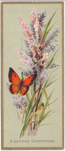 Een Victoriaanse kerstkaart van een vlinder tussen hoge grassen, c.1880 door English School