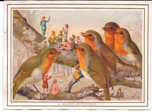 Een Victoriaanse kerstkaart van vijf roodborstjes die op een tak zitten en luisteren naar een feeënband, ca. 1880