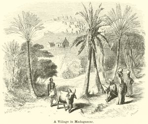 Een Dorp in Madagaskar