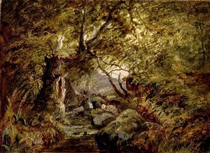 Een Bosbeek