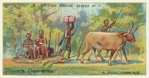 Een Zulu Koets