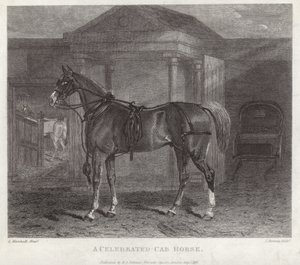 Een beroemde cab paard