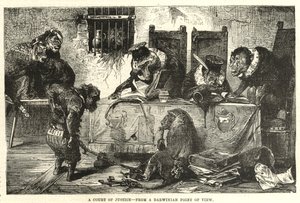 Een rechtbank vanuit een Darwinistisch oogpunt door English School
