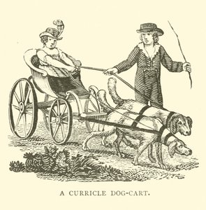 Een curricle dog-cart door English School