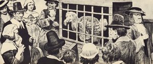 Een dodo tentoongesteld in het zeventiende-eeuwse Engeland