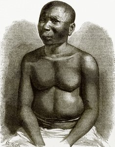 Een inboorling van de Andaman-eilanden
