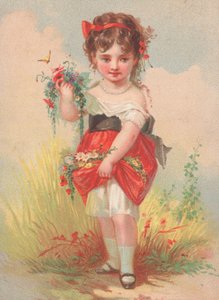 Een jong meisje verzamelt wilde bloemen door English School