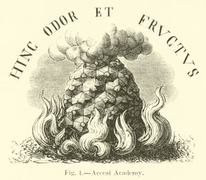 Accesi Academie