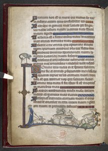 Psalm met marginale uitbreiding die gedeeltelijke rand vormt, ca. 1284-1316 door English School