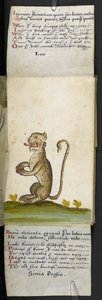 Jachtboek