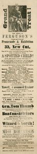 Advertentie voor Fergusons Grand and Oriental Promenade and Exhibition, 32 New Cut, Lambeth, Londen door English School