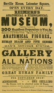 Advertentie voor Reimerss Anatomisch en Etnologisch Museum door English School