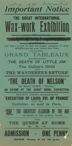 Advertentie voor de grote Internationale Waswerk Tentoonstelling, Mitcham Fair, augustus 1895 door English School
