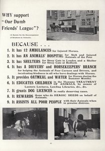 Advertentie voor Our Dumb Friends League door English School