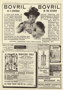 Advertentiespread uit The Graphic Christmas Number 1896 door English School