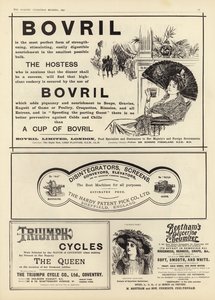 Advertentiepagina uit The Graphic Christmas Number 1897 door English School