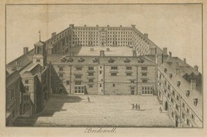 Luchtfoto van Bridewell Palace