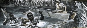Afrikanen redden dieren door English School