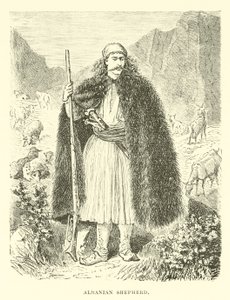 Albanese herder door English School